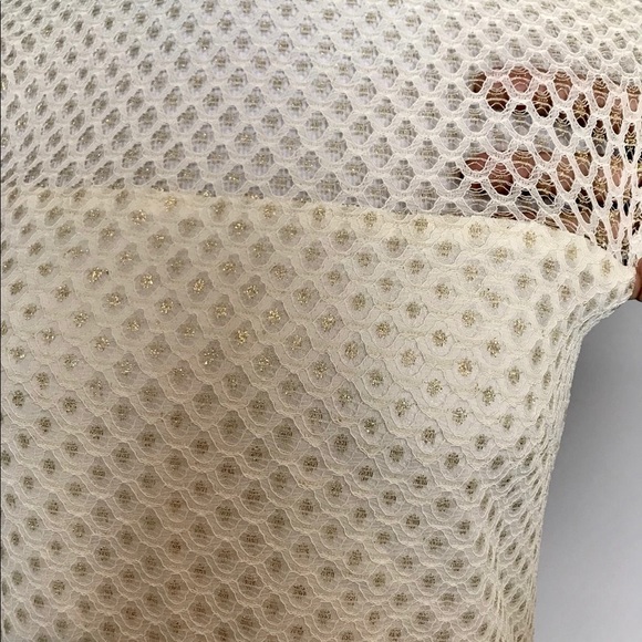 Romantic Vintage Sheer Net Wool Dress - Picture 8 of 10